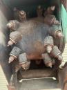タグチ認定中古 アスファルト切削機　エスカルゴン　3～5ton　ES-35
