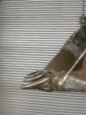 タグチ認定中古 スケルトンバケット　4～5ton　80×100