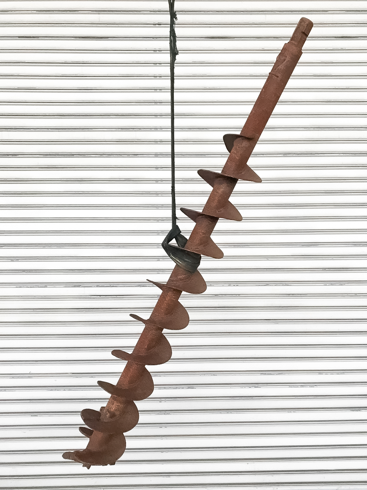 タグチ認定中古 オーガスクリュー＋ヘッド　φ300×2m