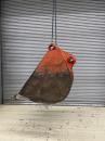 タグチ認定中古 スケルトンバケット　20～22ton　100×100（横ピン仕様）