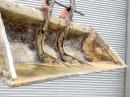 タグチ認定中古 法面バケット　10～14ton　Y1-120