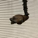 タグチ認定中古 全密ジョイントスクリュー　φ150×1m