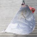 タグチ認定中古 スケルトンバケット　20～22ton　100×160（横ピン仕様）