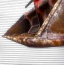 タグチ認定中古 法面バケット　4～5ton　Y1-40